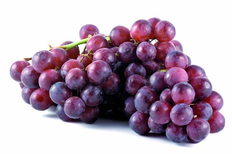 WINOGRONO CIEMNE