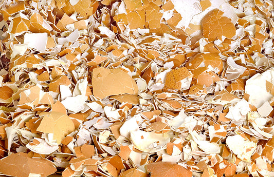 Skorupki jaj: Ukryty potencjał i ekologiczne triki w duchu zero-waste